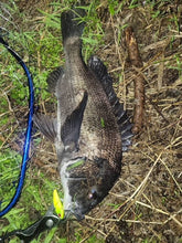 画像をギャラリービューアに読み込む, 敏腕バイブ/BINWAN VIB 15g