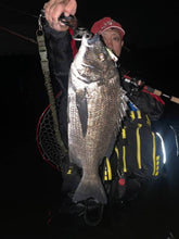 画像をギャラリービューアに読み込む, 敏腕バイブ/BINWAN VIB 15g