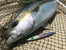 画像をギャラリービューアに読み込む, SwimRiderShort/スイムライダーショート295g