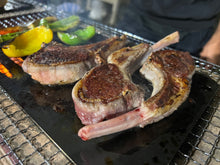 Load image into Gallery viewer, Iron Jig Shop's Teppan Prototype No. 3 (Iron)