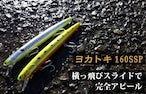画像をギャラリービューアに読み込む, ヨカトキ160SSP/YOKATOKI160SSP