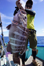 Load image into Gallery viewer, NatureBoys Gaff/Gaff