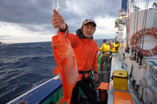 Load image into Gallery viewer, NatureBoys Gaff/Gaff