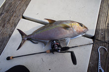 Load image into Gallery viewer, NatureBoys Gaff/Gaff