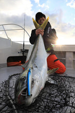 画像をギャラリービューアに読み込む, SURFISH220F/サーフィッシュ220F