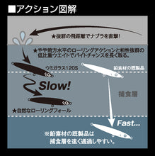 画像をギャラリービューアに読み込む, UMIGARASU120S/ウミガラス120S (UG120S)