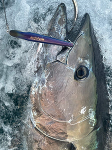 SURFISH220F/サーフィッシュ220F